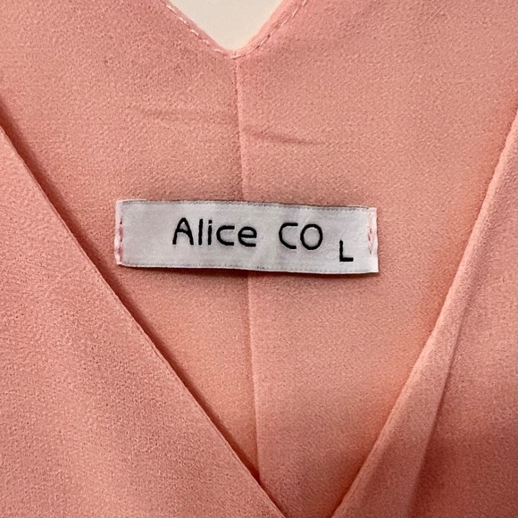 NWOT Light Pink VNeck Sleeveless Shell Blouse Size L - Picture 2 of 3